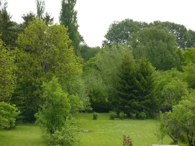 Naturlandschaft in der Nähe der Pension