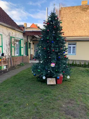 Ein Garten an der Unterkunft Pension Scheffler