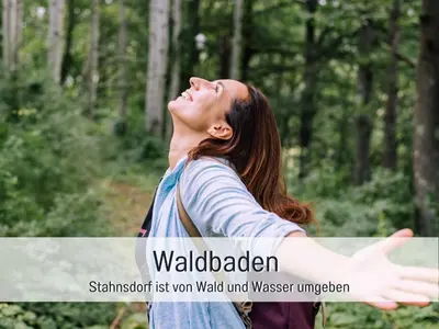 Naturlandschaft in der Nähe der Ferienwohnung