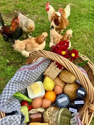 Essen in der Ferienwohnung oder in der Nähe