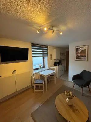 TV/Unterhaltungsangebot in der Unterkunft Ferienwohnung Rheinsberg in Schlossnähe