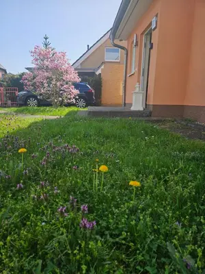 Ein Garten an der Unterkunft Cozy house and free parking