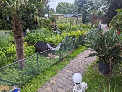 Ein Garten an der Unterkunft idyllische Lage direkt am See