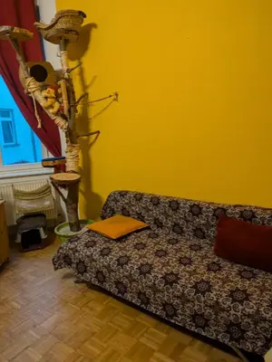 Ein Sitzbereich in der Unterkunft Unterkunft am Park
