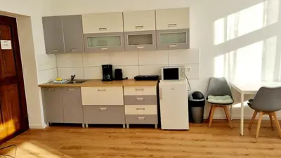 Küche/Küchenzeile in der Unterkunft Green Apartment Studio L30 Neukölln