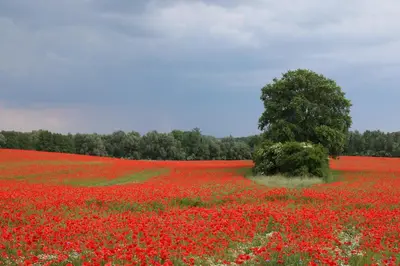 Naturlandschaft in der Nähe der Ferienwohnung