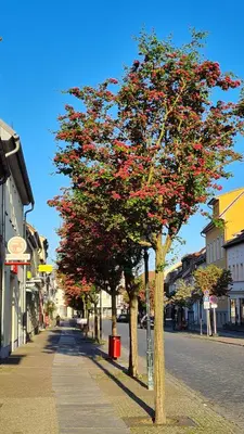 Die Umgebung um die Ferienwohnung