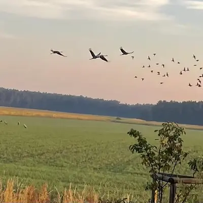 Ferienhaus Naturblick