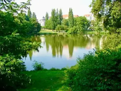 Naturlandschaft in der Nähe der Ferienwohnung