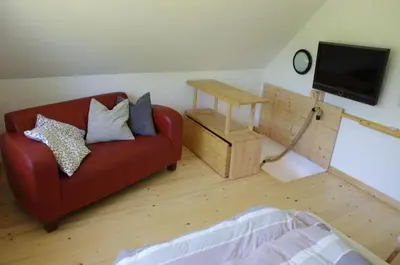 TV/Unterhaltungsangebot in der Unterkunft Schwalbenhaus-Netzow