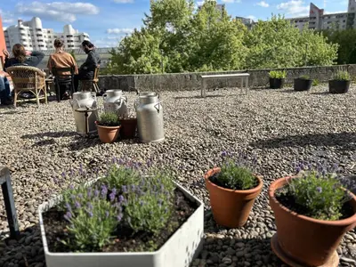 Ein Garten an der Unterkunft Comebackpackers