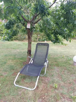 Ein Garten an der Unterkunft Eichberg Ferienhäuser