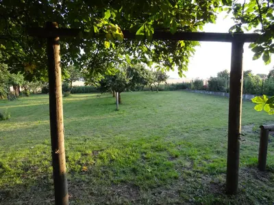 Ein Garten an der Unterkunft Nitschke 