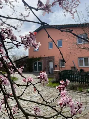 Das Gebäude in dem sich die Ferienwohnung befindet