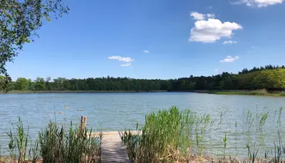 Naturlandschaft in der Nähe der Ferienwohnung