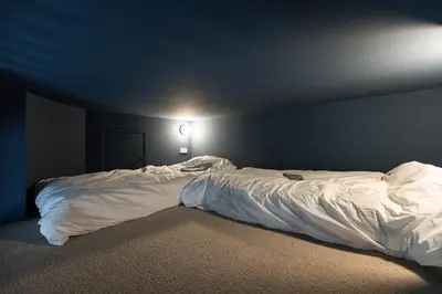 Ein Bett oder Betten in einem Zimmer der Unterkunft 3 BDR apt in Prenzlauer Berg with cinema