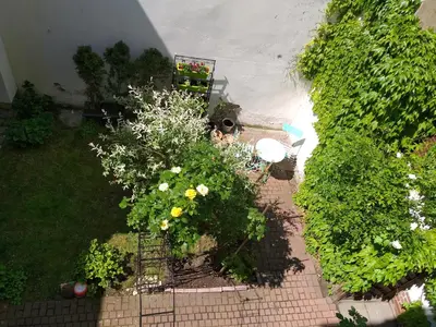 Ein Garten an der Unterkunft Superapartments in Potsdam