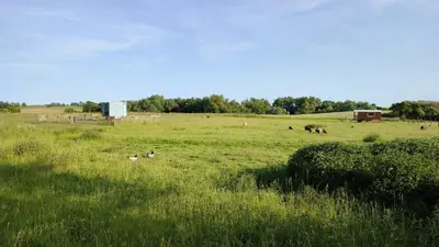 Naturlandschaft in der Nähe des Ferienhauses