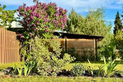 Ein Garten an der Unterkunft Ferienhaus Havelzeit in Werder an der Havel