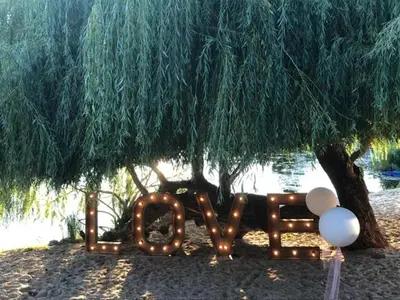 Ein Garten an der Unterkunft Havelpension