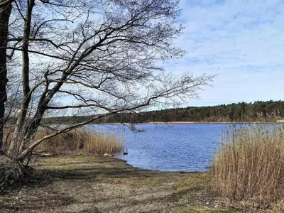 Naturlandschaft in der Nähe der Ferienwohnung