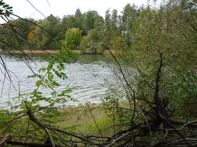 Naturlandschaft in der Nähe der Ferienwohnung