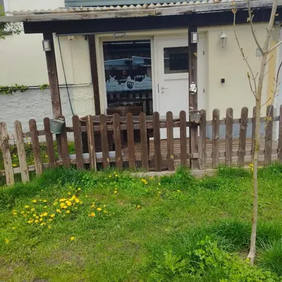 Ein Garten an der Unterkunft Ferienzimmer am Atelier