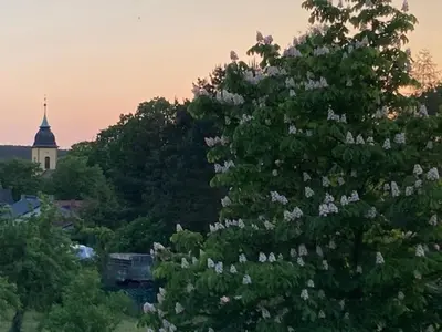 Grundriss der Unterkunft Golfplatz Motzen-Apartment mit Aussicht und vielem Komfort