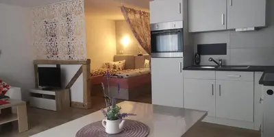 Küche/Küchenzeile in der Unterkunft Spreewald Ferienwohnung Wollgast