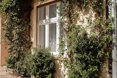 Ein Garten an der Unterkunft Familienfreundliches Apartment im Herzen Berlins