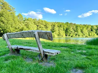 Naturlandschaft in der Nähe der Ferienwohnung
