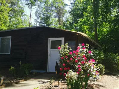 Ein Garten an der Unterkunft Bungalowdorf Briesensee