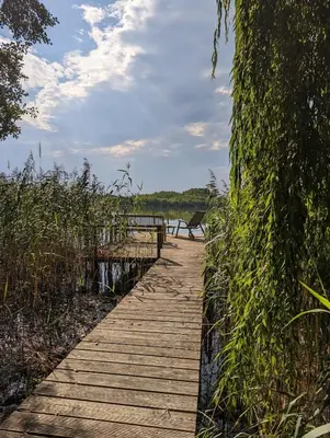 Naturlandschaft in der Nähe des Ferienhauses