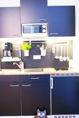 Küche/Küchenzeile in der Unterkunft Apartments Rummelsburger Bucht am Ostkreuz