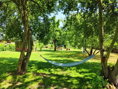 Ein Garten an der Unterkunft Großzügige Ferienwohnung nahe Berlin
