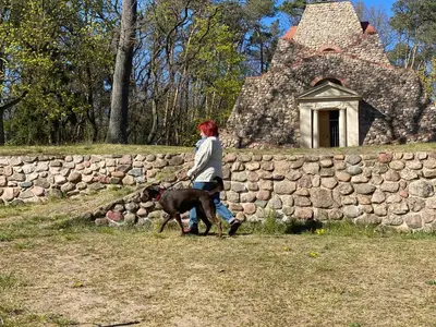 Reiten in der Ferienwohnung oder in der Nähe