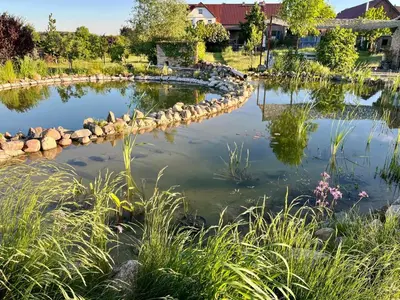 Naturlandschaft in der Nähe der Ferienwohnung