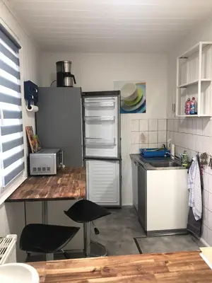 Küche/Küchenzeile in der Unterkunft Gästehaus mit Garten