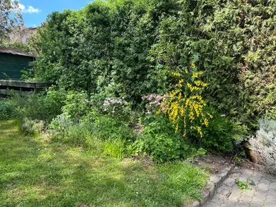 Ein Garten an der Unterkunft Idyllisches Apartment am Berliner Stadtrand