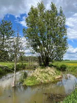 Naturlandschaft in der Nähe der Ferienwohnung