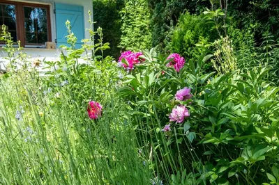 Ein Garten an der Unterkunft Idyllisches Apartment am Berliner Stadtrand