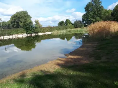 Naturlandschaft in der Nähe der Ferienwohnung