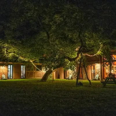 Historic Forester's House Tornow In Forest Setting