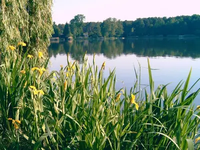 Naturlandschaft in der Nähe des Ferienhauses