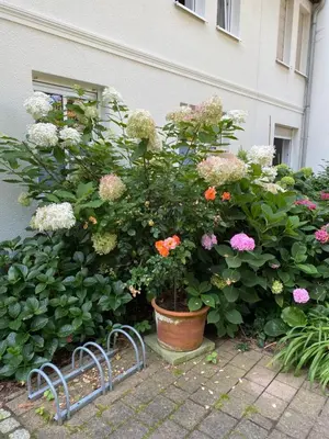 Ein Garten an der Unterkunft Ausspannen am Schwielowsee
