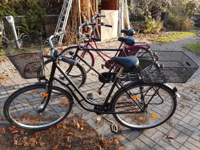 Radfahren an der Unterkunft Wohnung im Haus am See von Berlin oder in der Nähe