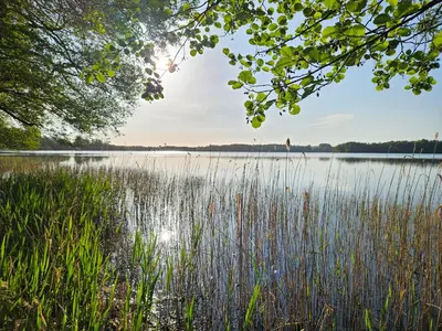 Naturlandschaft in der Nähe der Villa
