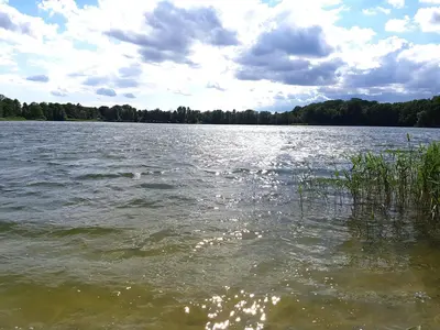 Naturlandschaft in der Nähe der Ferienwohnung