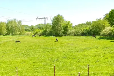 Naturlandschaft in der Nähe der Ferienwohnung