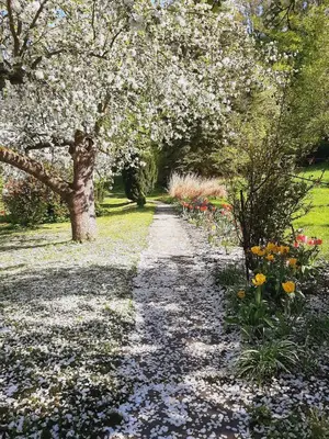 Ein Garten an der Unterkunft Die Malche Gäste und Tagungshaus Villa App 13